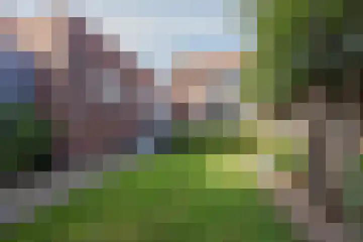 Lottumseweg 5 Broekhuizen thumbnail 41