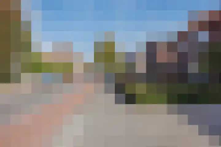 Lottumseweg 5 Broekhuizen thumbnail 44