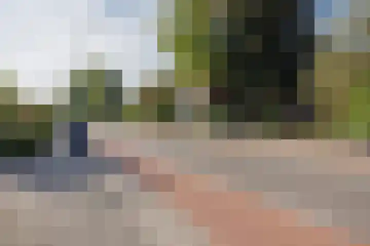 Lottumseweg 5 Broekhuizen thumbnail 45