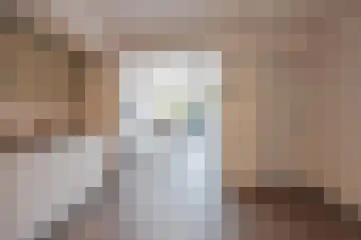 Lottumseweg 5 Broekhuizen thumbnail 5