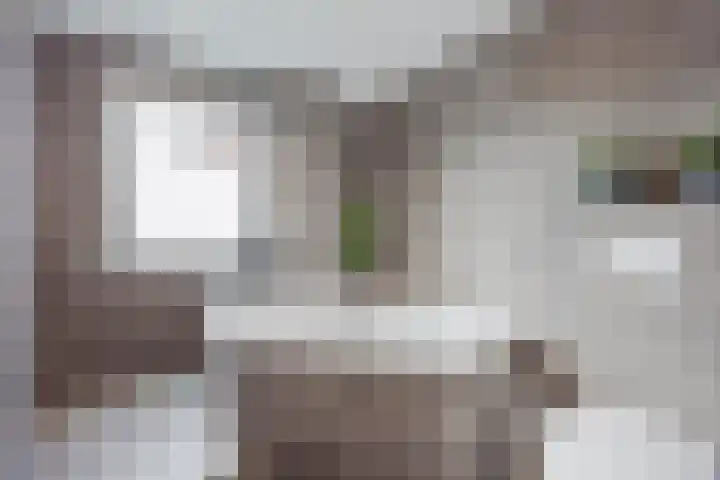 Lottumseweg 5 Broekhuizen thumbnail 6