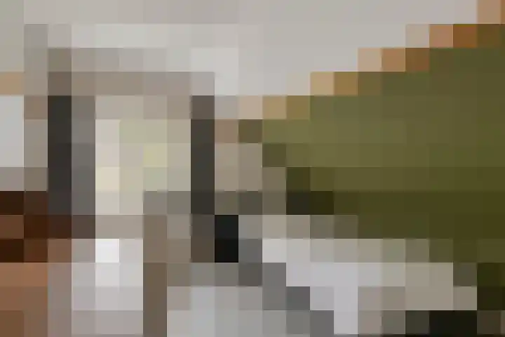 Lottumseweg 76 a Grubbenvorst thumbnail 21