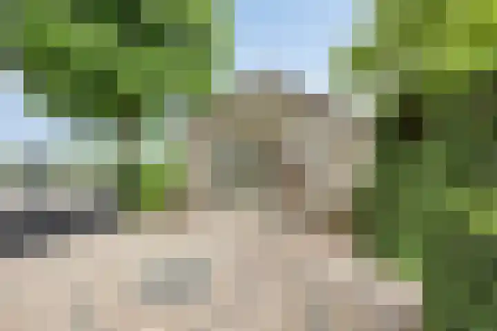 Lottumseweg 76 a Grubbenvorst thumbnail 28