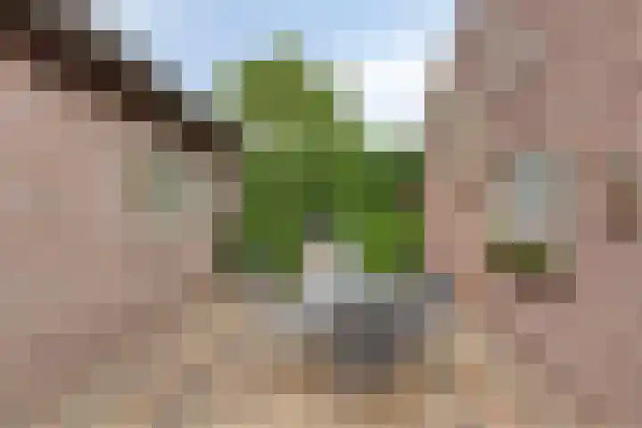 Lottumseweg 76 a Grubbenvorst thumbnail 33