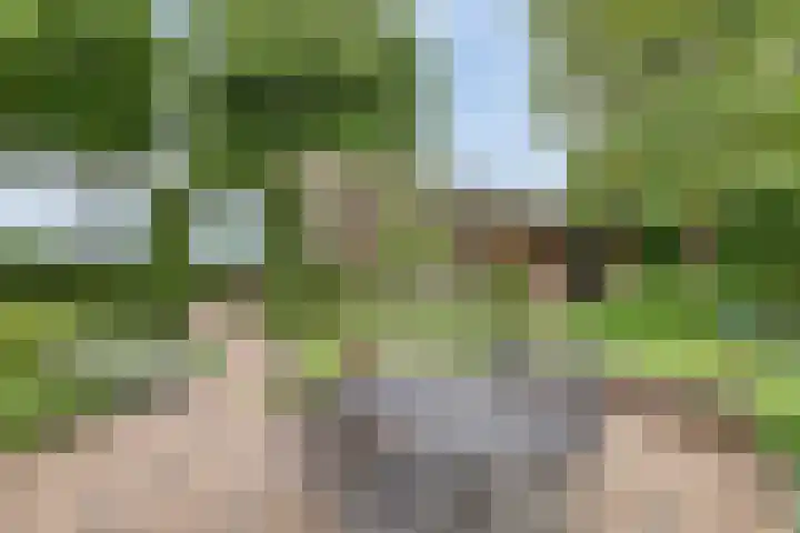 Lottumseweg 76 a Grubbenvorst thumbnail 34