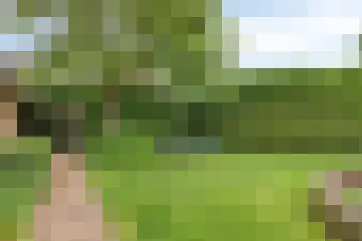 Lottumseweg 76 a Grubbenvorst thumbnail 35