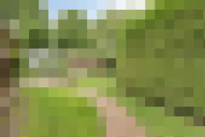 Lottumseweg 76 a Grubbenvorst thumbnail 39