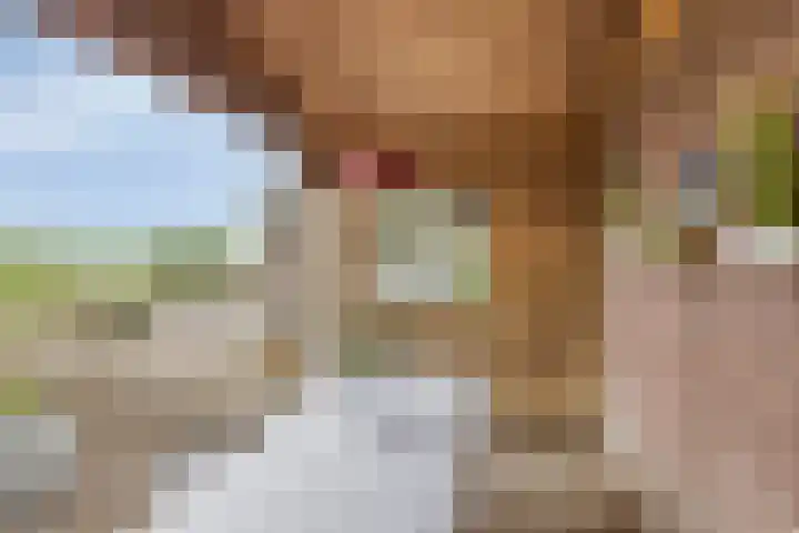 Lottumseweg 76 a Grubbenvorst thumbnail 42