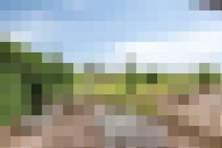 Lottumseweg 76 a Grubbenvorst thumbnail 43