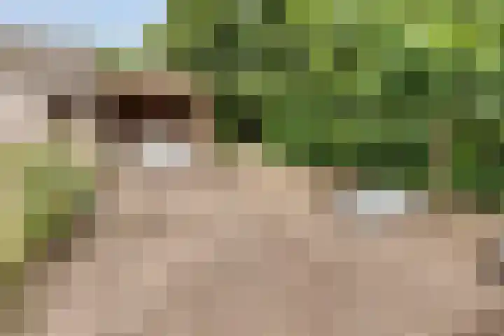 Lottumseweg 76 a Grubbenvorst thumbnail 44
