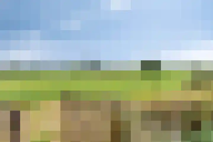 Lottumseweg 76 a Grubbenvorst thumbnail 45