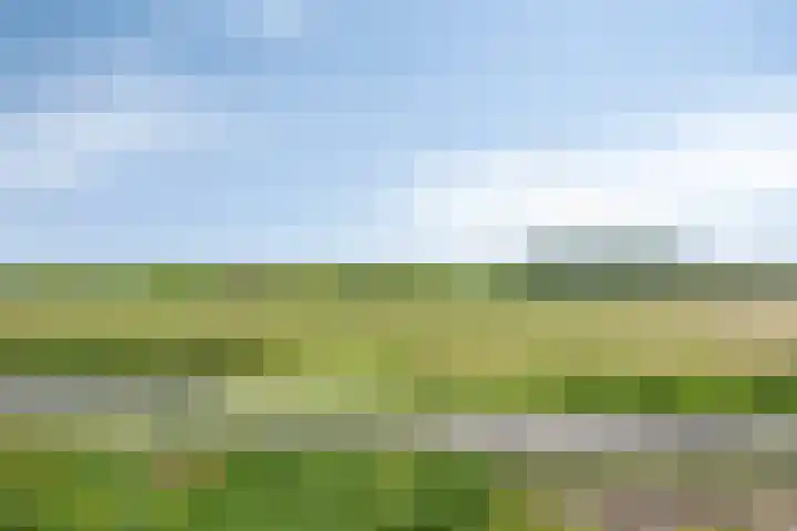 Lottumseweg 76 a Grubbenvorst thumbnail 46