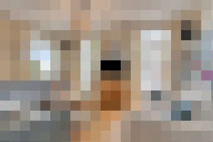 Lottumseweg 76 a Grubbenvorst thumbnail 8