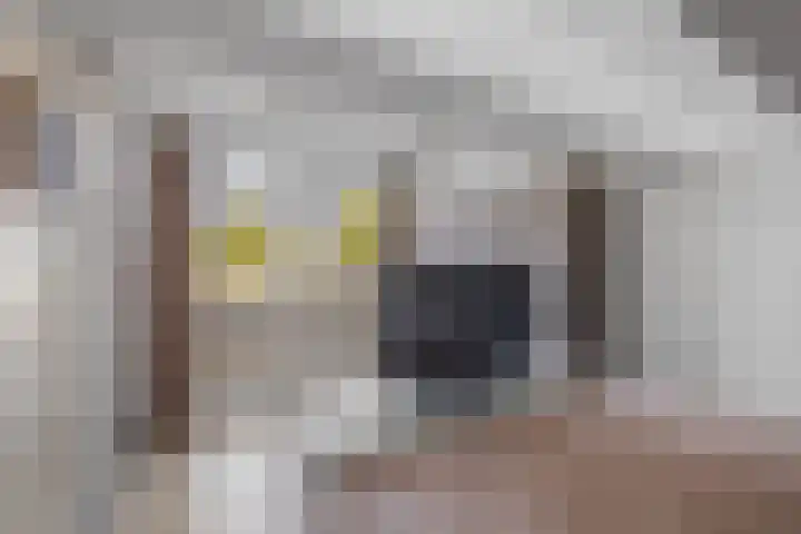 Lotusberg 15 Roosendaal thumbnail 31