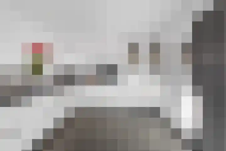 Lotusberg 3 Roosendaal thumbnail 16
