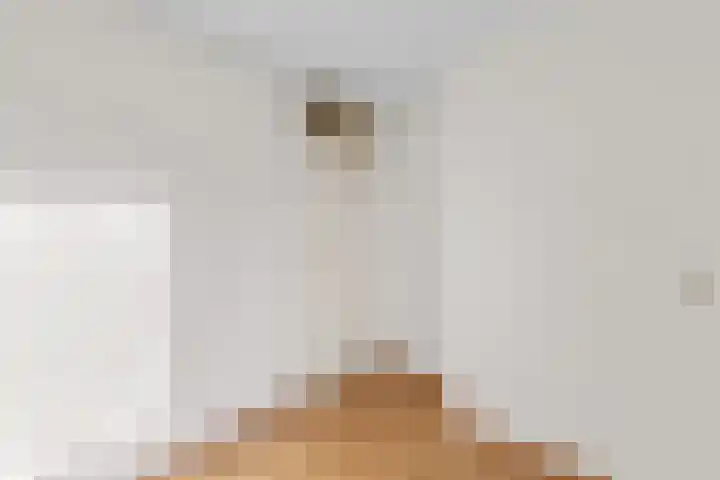 Lotusberg 3 Roosendaal thumbnail 30