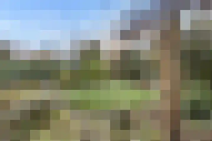 Lotusberg 3 Roosendaal thumbnail 44