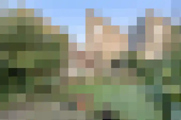 Lotusberg 3 Roosendaal thumbnail 46