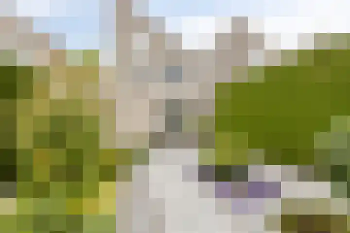 Lotusberg 7 Roosendaal thumbnail 27