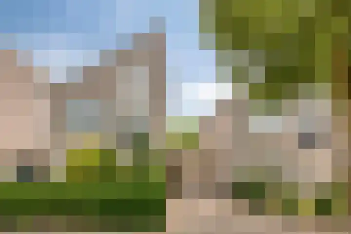 Lotusberg 7 Roosendaal thumbnail 30