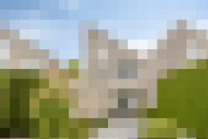 Lotusberg 7 Roosendaal thumbnail 31