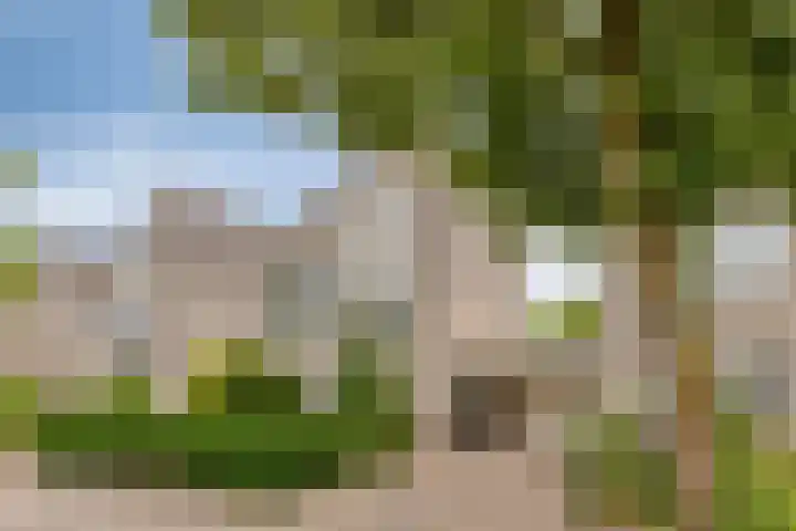 Lotusberg 7 Roosendaal thumbnail 32