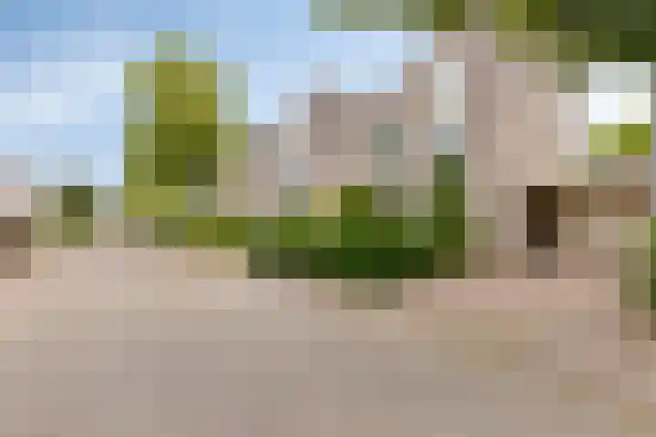 Lotusberg 7 Roosendaal thumbnail 33