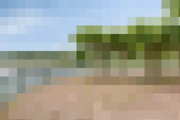 Lotusberg 7 Roosendaal thumbnail 34