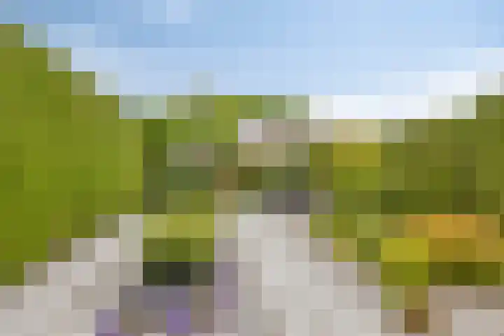 Lotusberg 7 Roosendaal thumbnail 4