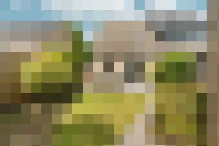 Lotusbloemweg 110 Almere thumbnail 36