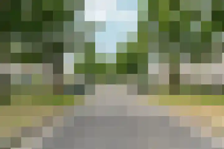 Lotusbloemweg 110 Almere thumbnail 39