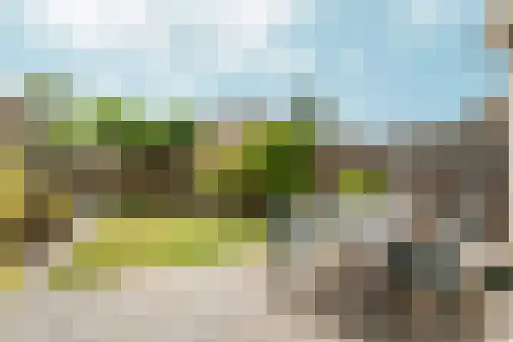 Lotusbloemweg 110 Almere thumbnail 4
