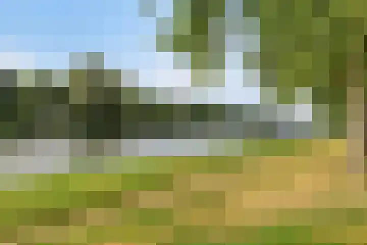Lotusbloemweg 112 Almere thumbnail 27