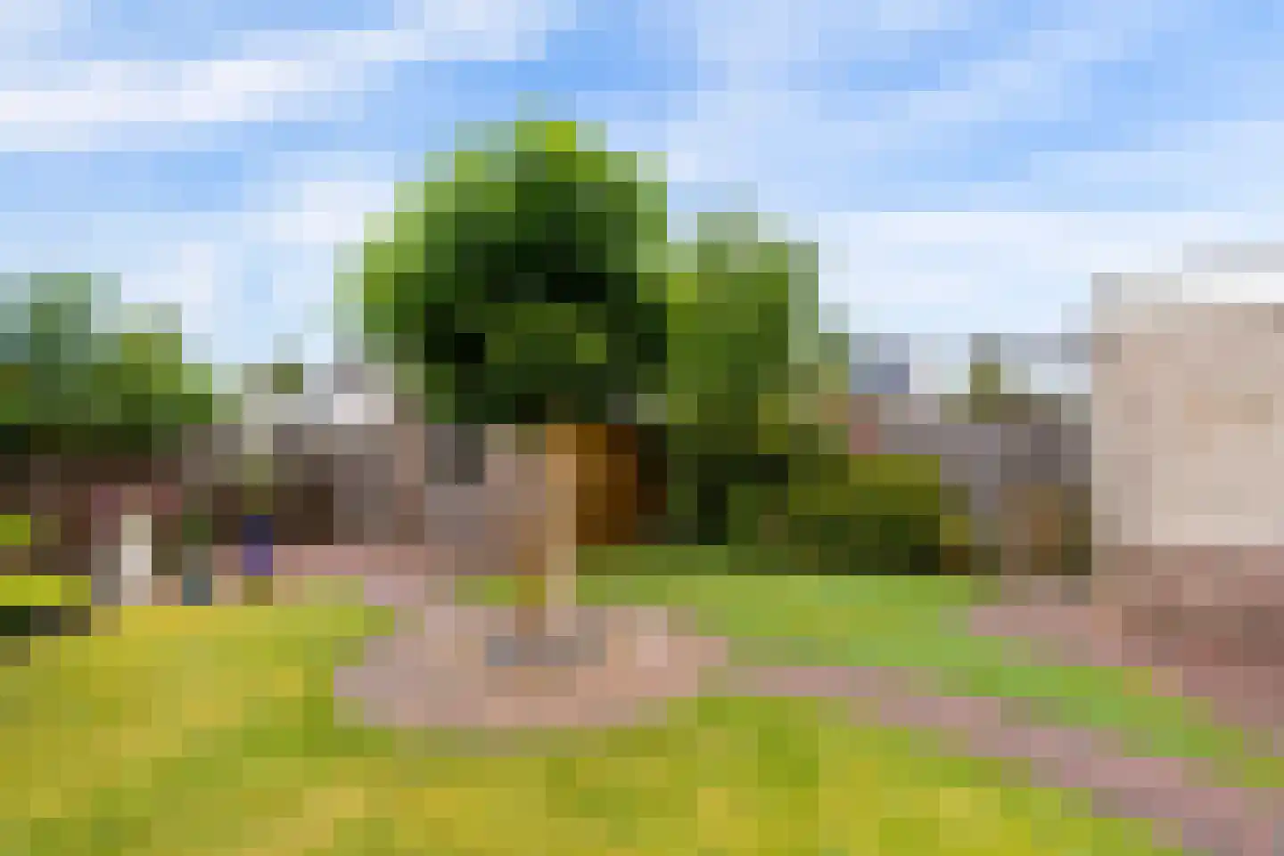 Lotusbloemweg 21 Almere thumbnail 31