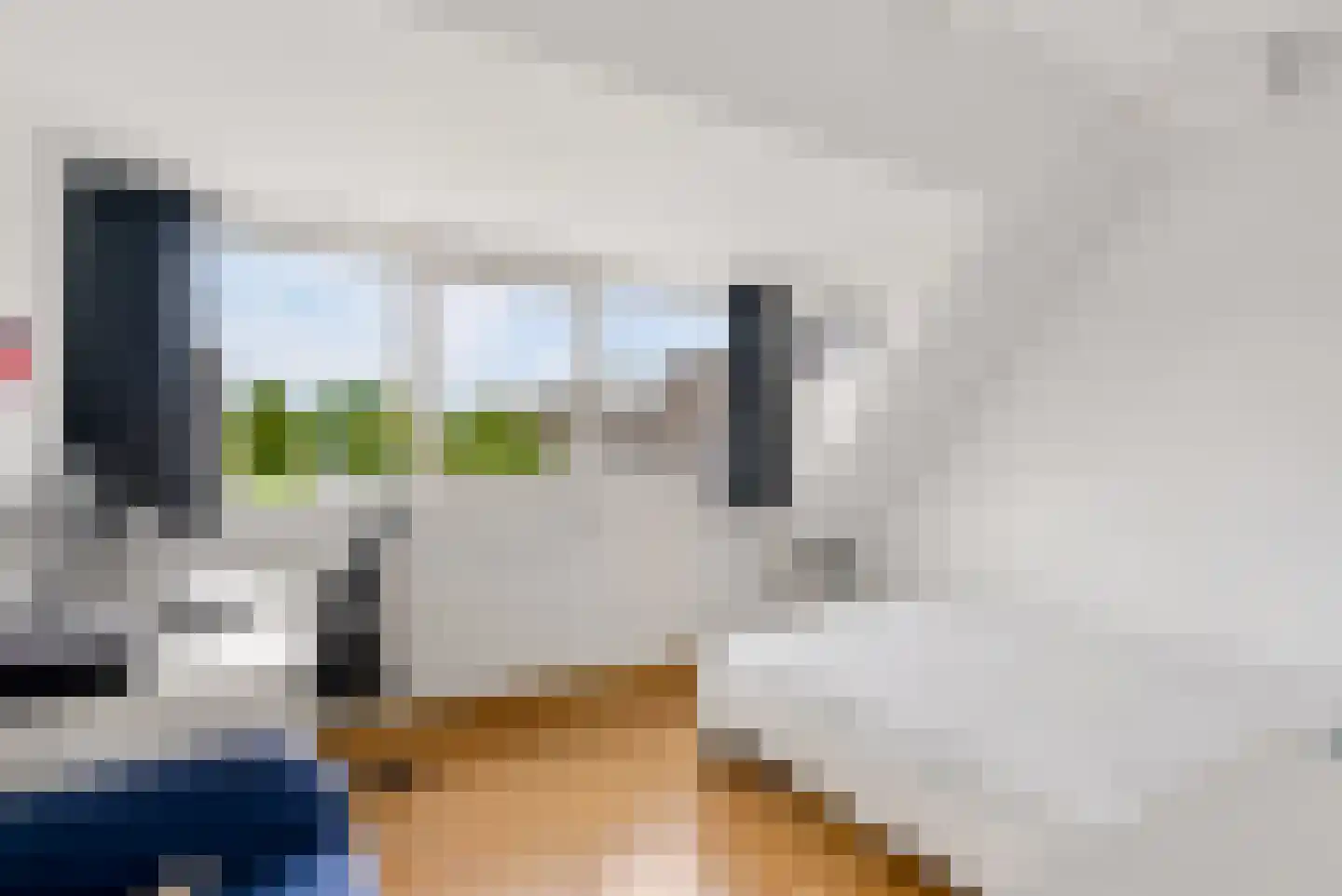 Lotusbloemweg 21 Almere thumbnail 44