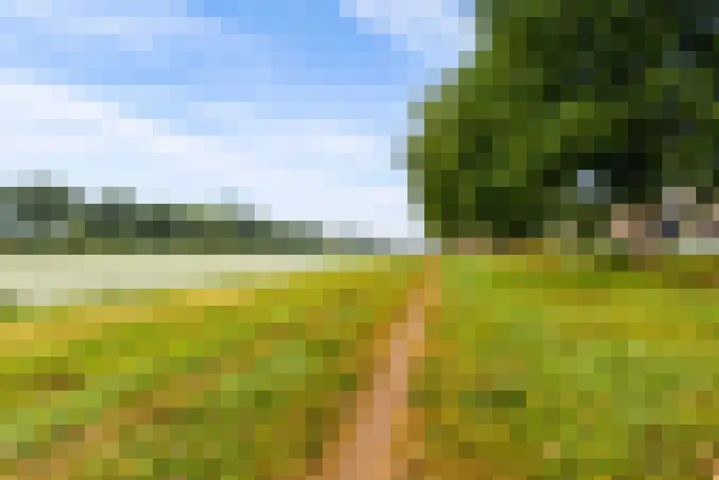 Lotusbloemweg 21 Almere thumbnail 54