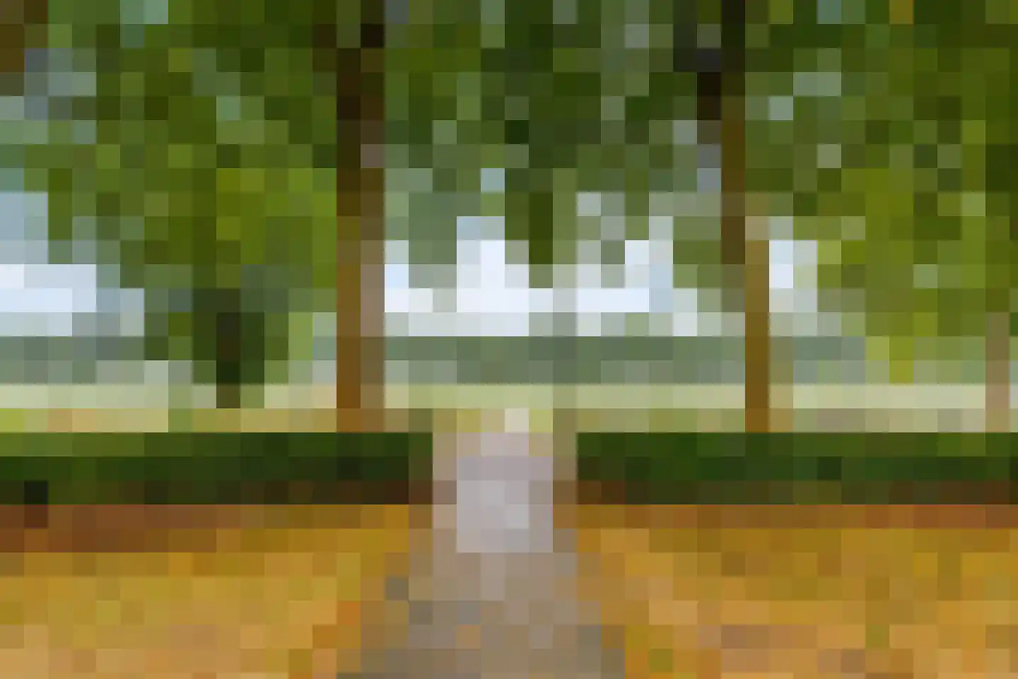 Lotusbloemweg 21 Almere thumbnail 55
