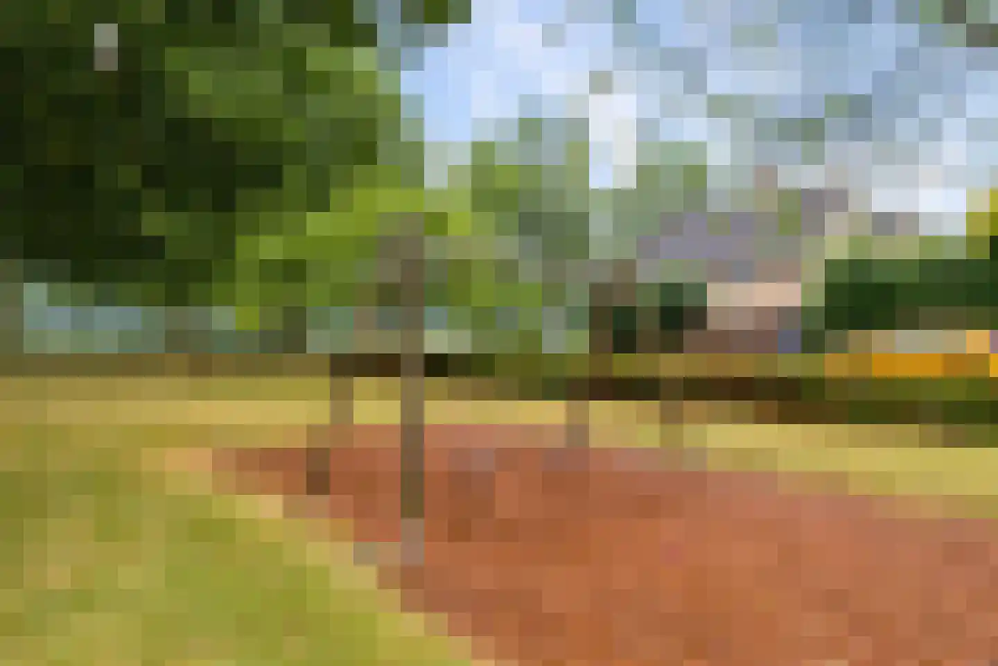 Lotusbloemweg 21 Almere thumbnail 56
