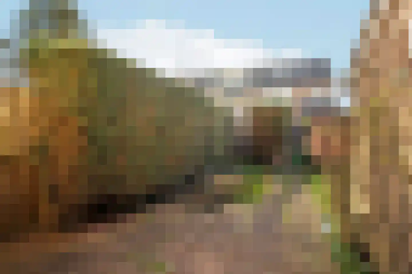 Lotusbloemweg 34 Almere thumbnail 29