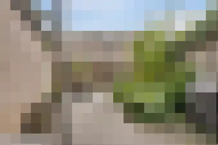Lotusbloemweg 36 Almere thumbnail 26