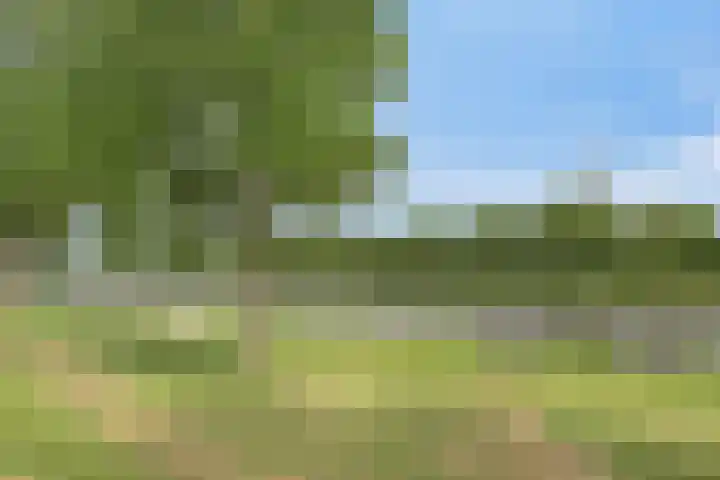 Lotusbloemweg 36 Almere thumbnail 31
