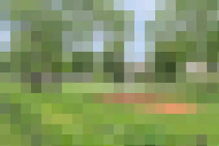 Lotusbloemweg 36 Almere thumbnail 32