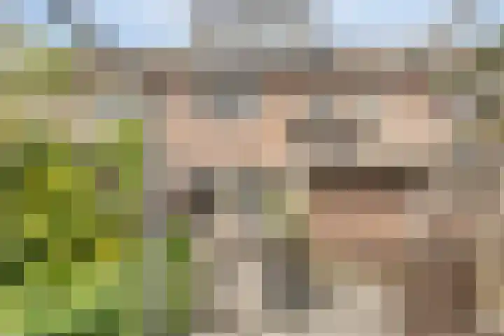 Lotusbloemweg 36 Almere thumbnail 4