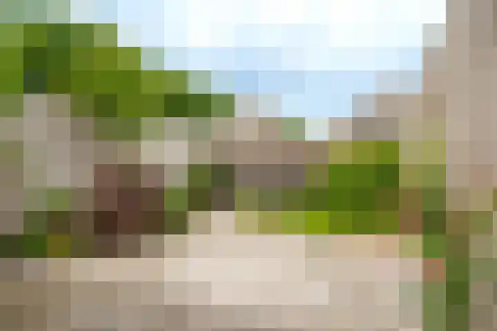 Lotusbloemweg 71 Almere thumbnail 29