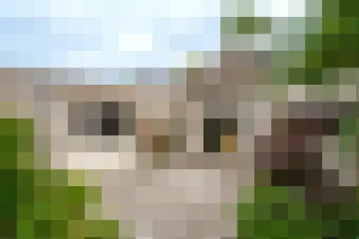 Lotusbloemweg 71 Almere thumbnail 30