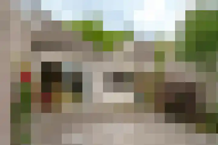 Lotusbloemweg 71 Almere thumbnail 32