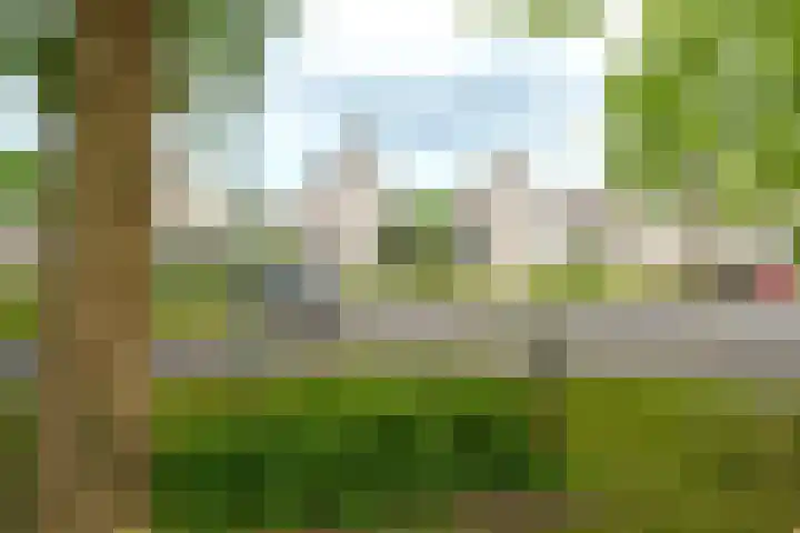 Lotusbloemweg 71 Almere thumbnail 34