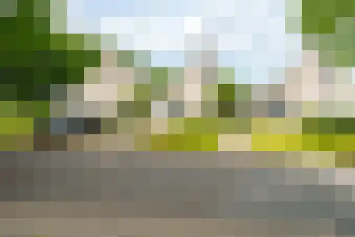 Lotusbloemweg 71 Almere thumbnail 35