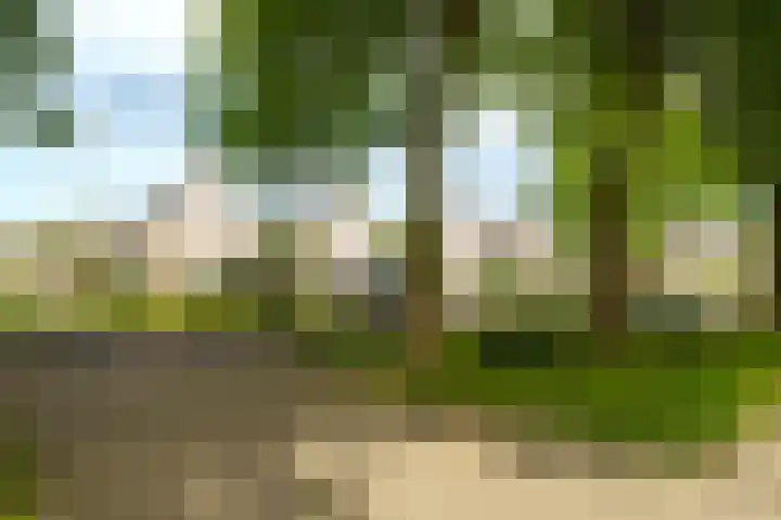 Lotusbloemweg 71 Almere thumbnail 37