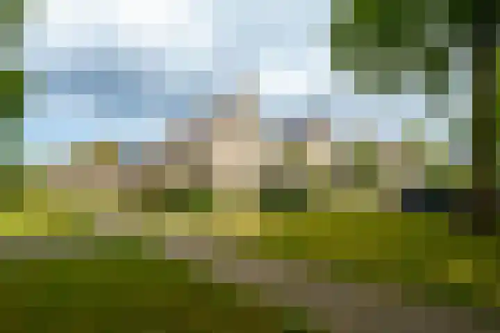Lotusbloemweg 71 Almere thumbnail 38